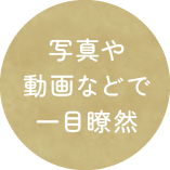 写真や動画などで一目瞭然